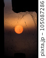 夕日 105087286