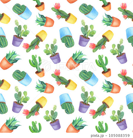 Watercolor seamless pattern with cactus. Home plant in pot. Cute potted cacti isolated on white 105088359