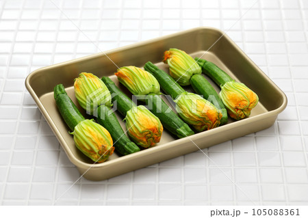 花ズッキーニ 105088361