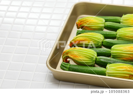 花ズッキーニ 花ズッキーニ 105088363