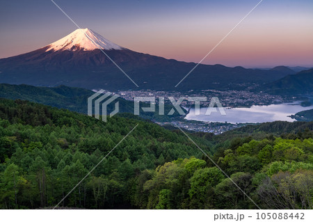 《山梨県》初夏の富士山・新緑の原生林 105088442
