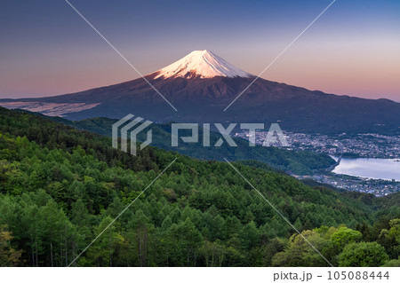 《山梨県》初夏の富士山・新緑の原生林 105088444
