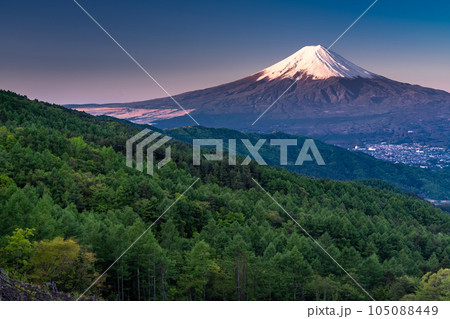 《山梨県》初夏の富士山・新緑の原生林 105088449