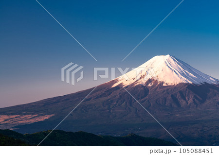 《山梨県》初夏の富士山・新緑の原生林 《山梨県》初夏の富士山・新緑の原生林 105088451
