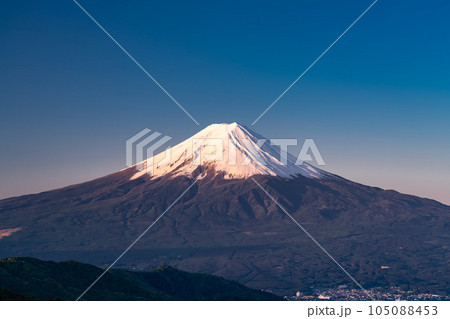 《山梨県》初夏の富士山・新緑の原生林 105088453