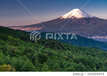 《山梨県》初夏の富士山・新緑の原生林 《山梨県》初夏の富士山・新緑の原生林 105088454