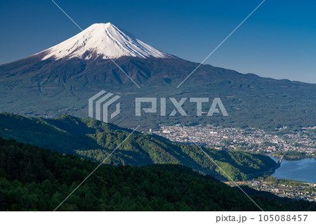 《山梨県》初夏の富士山・新緑の原生林 105088457