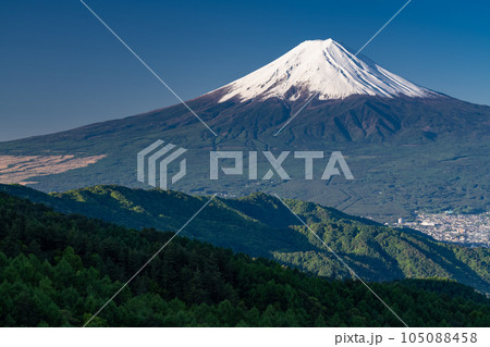 《山梨県》初夏の富士山・新緑の原生林 105088458