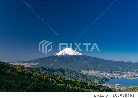 《山梨県》初夏の富士山・新緑の原生林 105088461