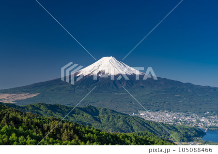《山梨県》初夏の富士山・新緑の原生林 《山梨県》初夏の富士山・新緑の原生林 105088466