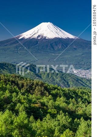 《山梨県》初夏の富士山・新緑の原生林 105088476