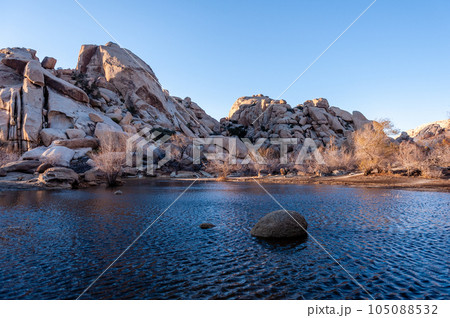 Barkers Dam in Joshua Tree National Park Barkers Dam in Joshua Tree National Park 105088532