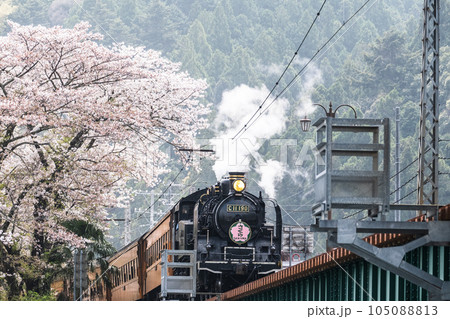 桜の季節のSL列車 桜の季節のSL列車 105088813