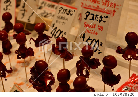 タコ卵の展示 105088820