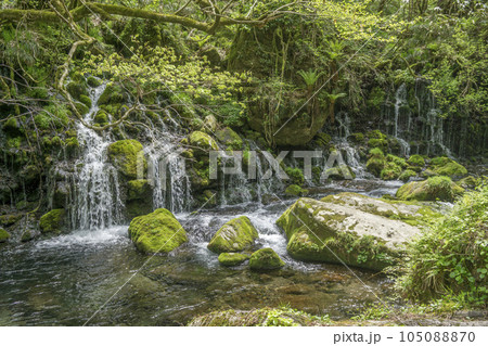 自然の中でいくつもの滝が流れる風景 105088870