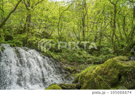 新緑の景色の中にあふれ出る雪解け水 105088874