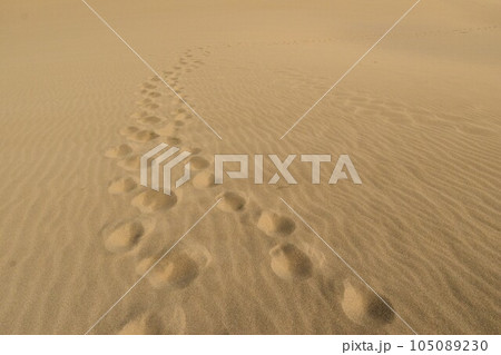 鳥取砂丘イメージ 鳥取砂丘イメージ 105089230