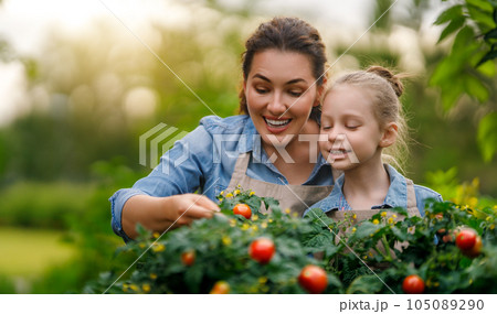 mother and daughter gardening in the backyard 105089290