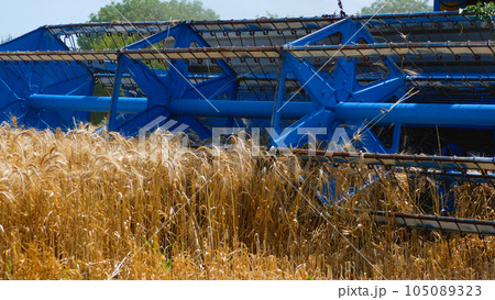 The mower of the combine harvester harvests the wheat crop. Close-up of the mower The mower of the combine harvester harvests the wheat crop. Close-up of the mower 105089323