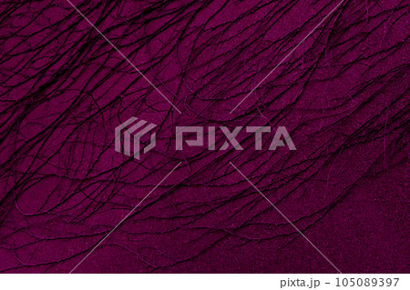 植物が張り付いた壁 ちょっと不気味 ハロウィーン 植物が張り付いた壁 ちょっと不気味 ハロウィーン 105089397