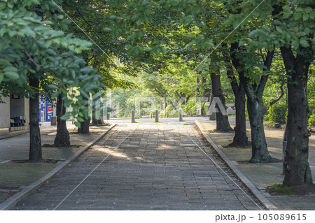 京都 祇園白川 赤い傘の日除け 新緑の季節 京都 祇園白川 赤い傘の日除け 新緑の季節 105089615