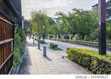 京都 白川南通(祇園白川) 新緑の季節 京都 白川南通(祇園白川) 新緑の季節 105089621