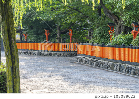 京都 白川南通(祇園白川)巽橋周辺 新緑の季節 京都 白川南通(祇園白川)巽橋周辺 新緑の季節 105089622