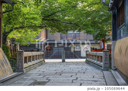 京都 白川南通(祇園白川)巽橋 新緑の季節 京都 白川南通(祇園白川)巽橋 新緑の季節 105089644