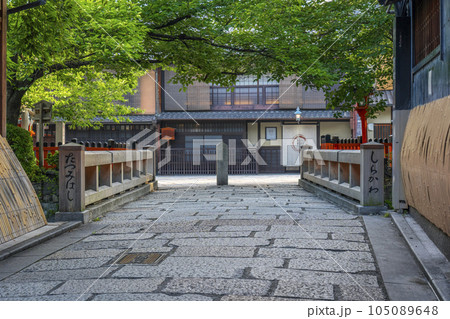 京都　白川南通（祇園白川）巽橋　新緑の季節 105089648