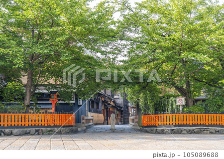 早朝の京都・祇園白川 巽橋 新緑の季節 早朝の京都・祇園白川 巽橋 新緑の季節 105089688