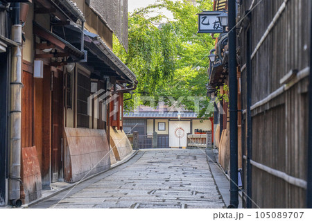 京都・祇園白川　巽橋　新緑の季節 105089707