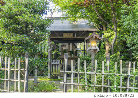 京都　祇園白川　白川南通　辨財天　新緑の季節 105089722