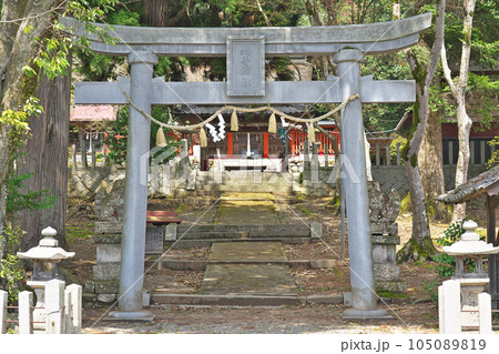 【九手神社】 京都府船井郡京丹波町豊田九手 105089819