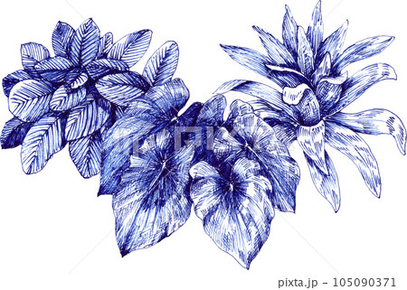 Blue tropical with animal and plant pngのイラスト素材 [105090371 ...