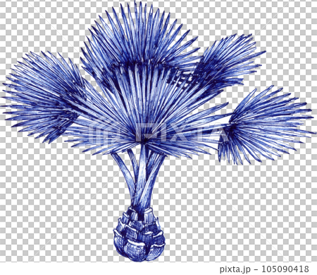 Blue tropical jungle element plant png Blue tropical jungle element plant png 105090418