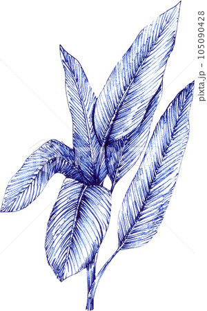 Blue tropical jungle element with animal and plant concept 105090428