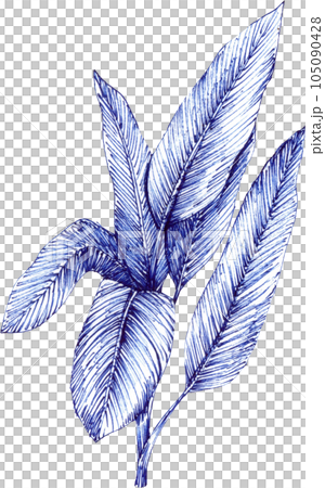 Blue tropical jungle element with animal and plant concept 105090428