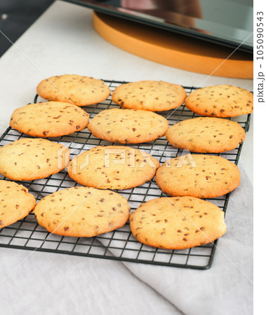 crispy orange and chocolale cookies cool on a rack. ready baked cookies with chocolate chips. Comforting meal. vertical shot. crispy orange and chocolale cookies cool on a rack. ready baked cookies with chocolate chips. Comforting meal. vertical shot. 105090543