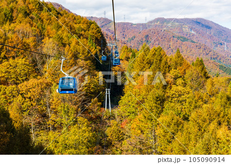新潟湯沢町 絶景の空中散歩 紅葉の苗場ドラゴンドラ 新潟湯沢町 絶景の空中散歩 紅葉の苗場ドラゴンドラ 105090914