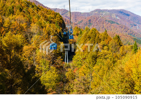 新潟湯沢町 絶景の空中散歩 紅葉の苗場ドラゴンドラ 新潟湯沢町 絶景の空中散歩 紅葉の苗場ドラゴンドラ 105090915