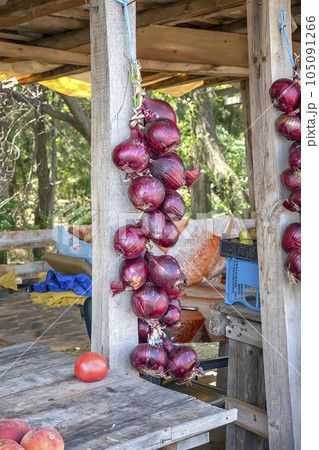 red onion  105091266