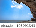 鬼ヶ城　遊歩道より望む岩肌と海岸　 105091343