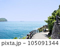 鬼ヶ城　遊歩道より望む岩肌と海岸　 105091344