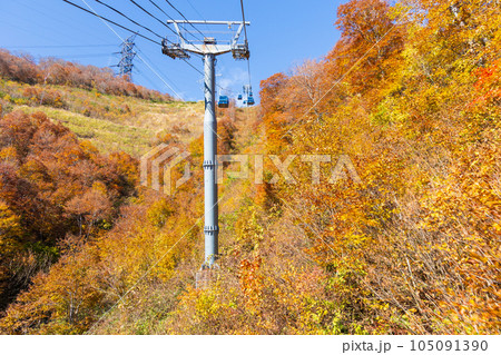 新潟湯沢町 絶景の空中散歩 紅葉の苗場ドラゴンドラ 新潟湯沢町 絶景の空中散歩 紅葉の苗場ドラゴンドラ 105091390