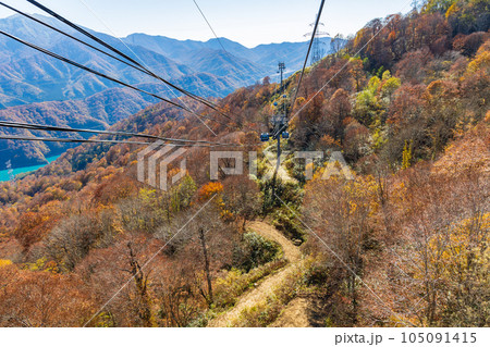 新潟湯沢町 絶景の空中散歩 紅葉の苗場ドラゴンドラ 新潟湯沢町 絶景の空中散歩 紅葉の苗場ドラゴンドラ 105091415