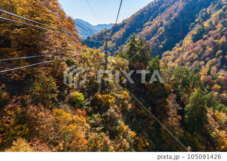 新潟湯沢町　絶景の空中散歩　紅葉の苗場ドラゴンドラ 105091426