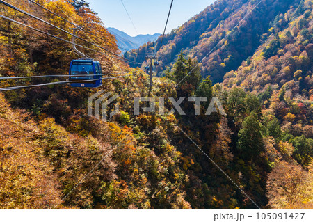 新潟湯沢町　絶景の空中散歩　紅葉の苗場ドラゴンドラ 105091427