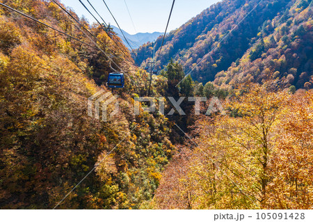 新潟湯沢町 絶景の空中散歩 紅葉の苗場ドラゴンドラ 新潟湯沢町 絶景の空中散歩 紅葉の苗場ドラゴンドラ 105091428