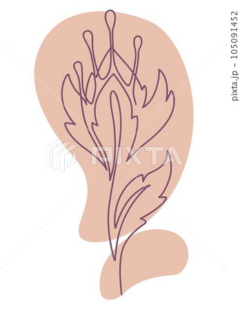 Flower line art, minimalist botany flora vector 105091452