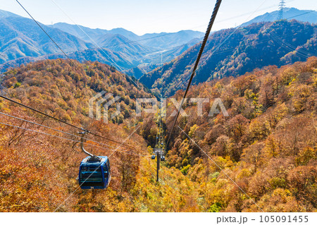 新潟湯沢町　絶景の空中散歩　紅葉の苗場ドラゴンドラ 105091455